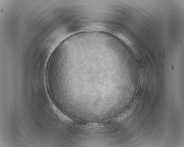 X0000067891478200604201256