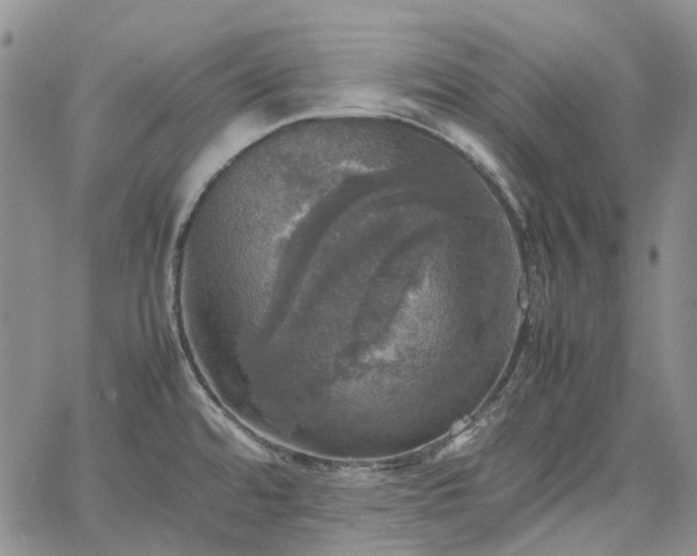 X0000067891480200604201256