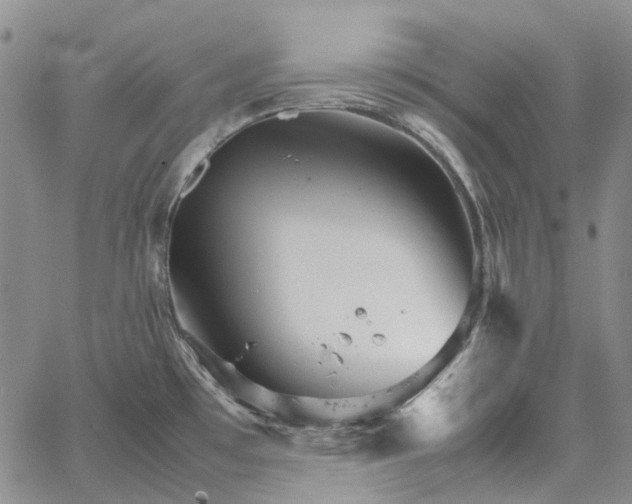 X0000067891481200604201256