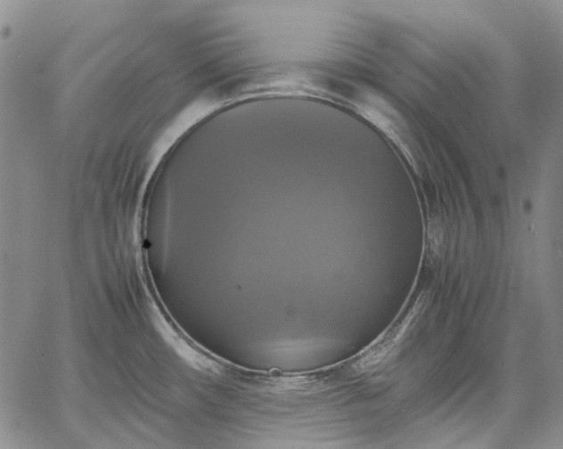 X0000067891482200604201256