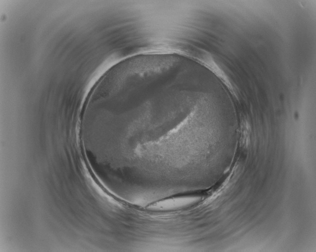 X0000067891484200604201256