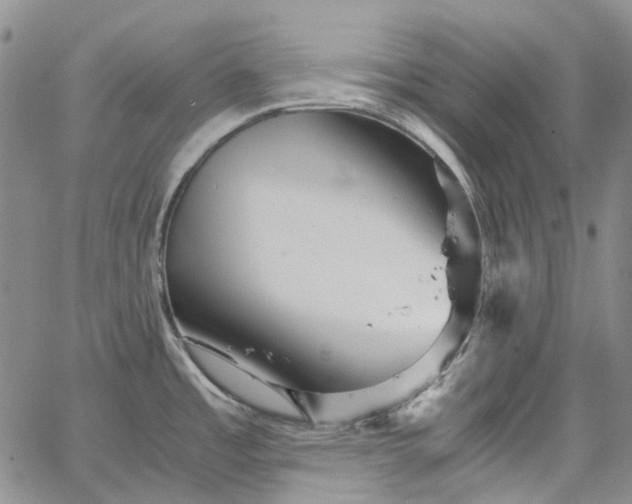 X0000067891485200604201256