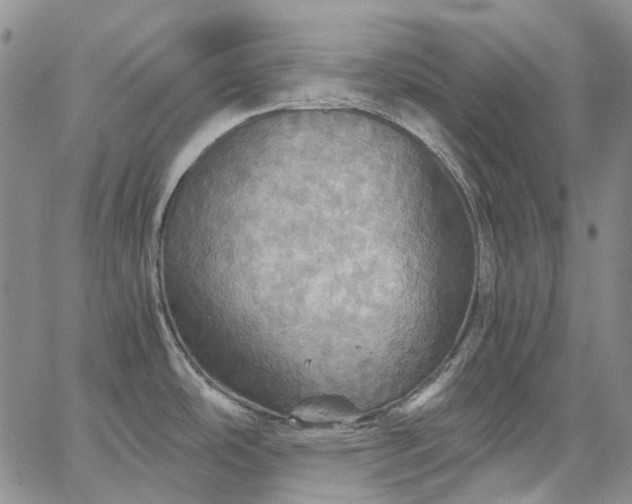 X0000067891486200604201256