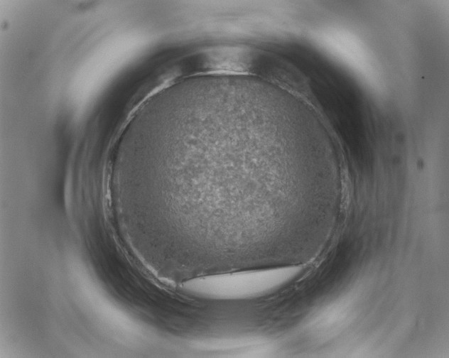 X0000067891487200604201256