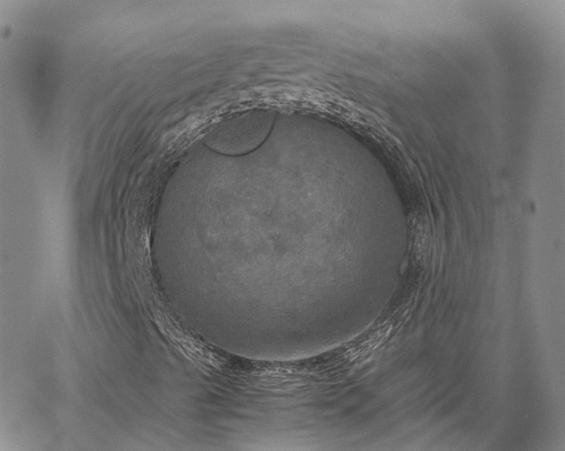 X0000067891489200604201255