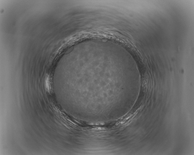 X0000067891490200604201255