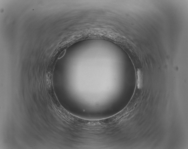 X0000067891491200604201255