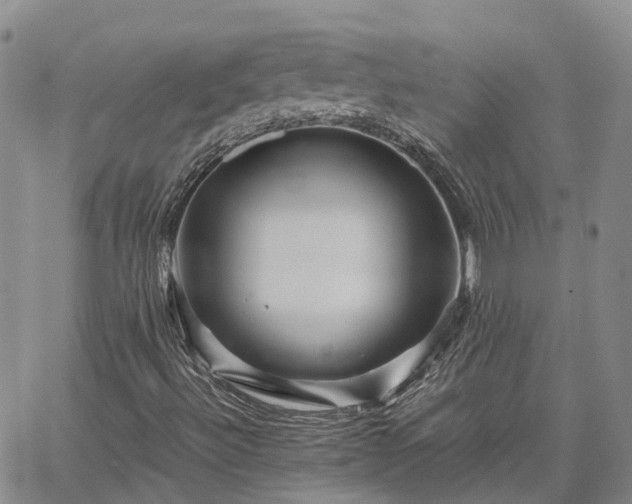 X0000067891492200604201255