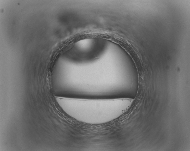 X0000067891493200604201255