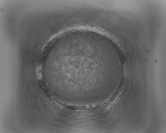 X0000067891494200604201255