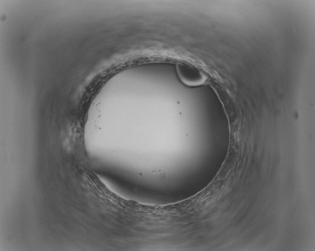 X0000067891495200604201255