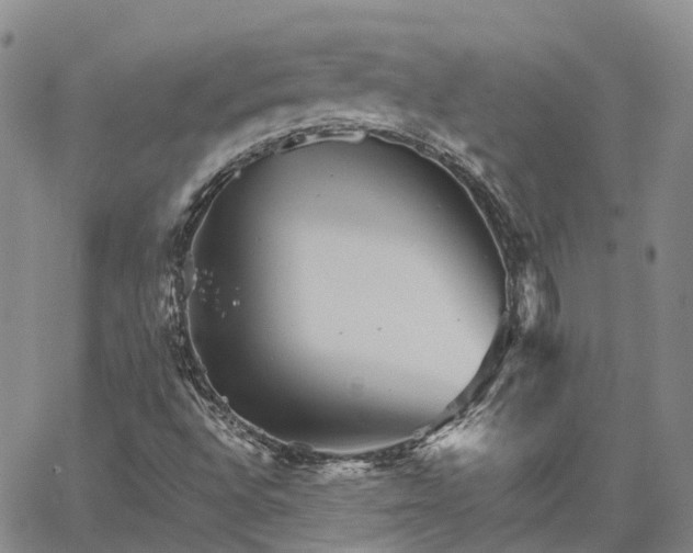 X0000067891496200604201255