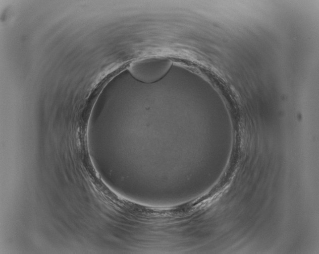 X0000067891497200604201255