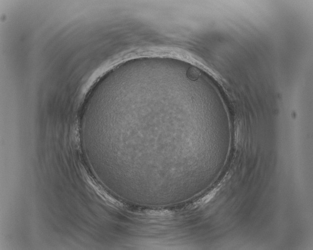 X0000067891498200604201255