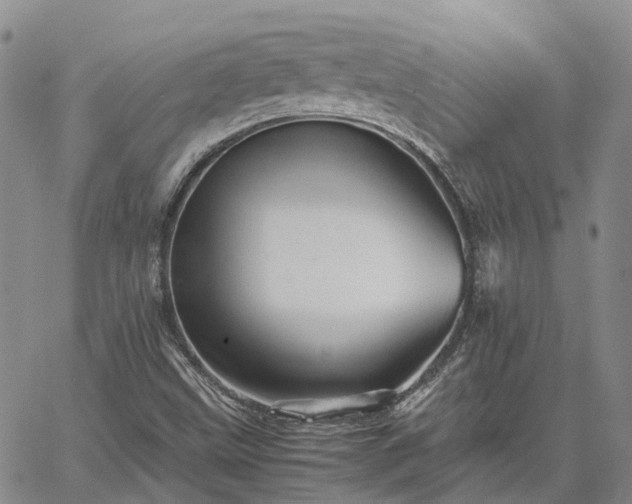 X0000067891499200604201255