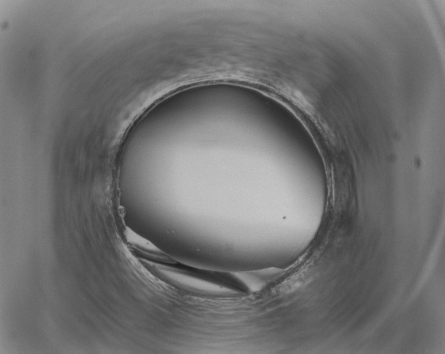 X0000067891500200604201255