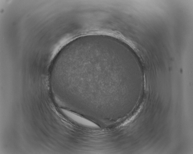 X0000067891501200604201255