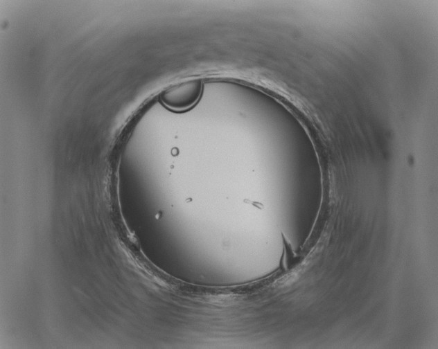 X0000067891502200604201255