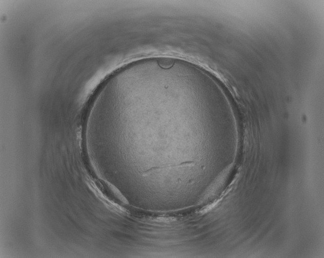 X0000067891503200604201255