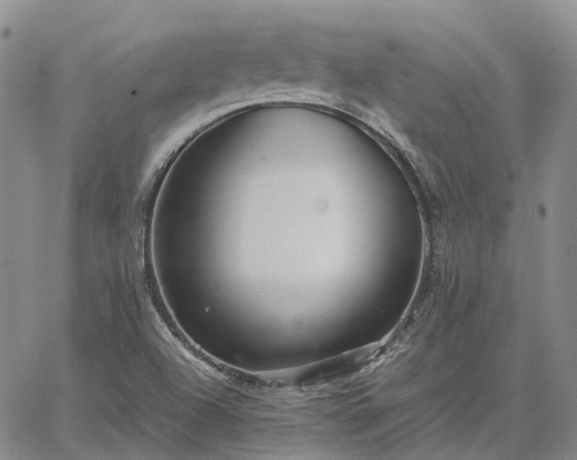 X0000067891504200604201255