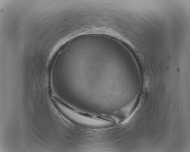 X0000067891506200604201256