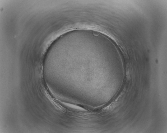 X0000067891507200604201256