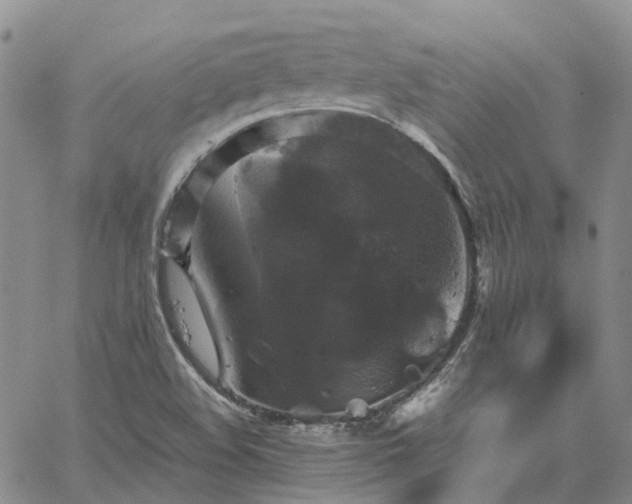 X0000067891508200604201256