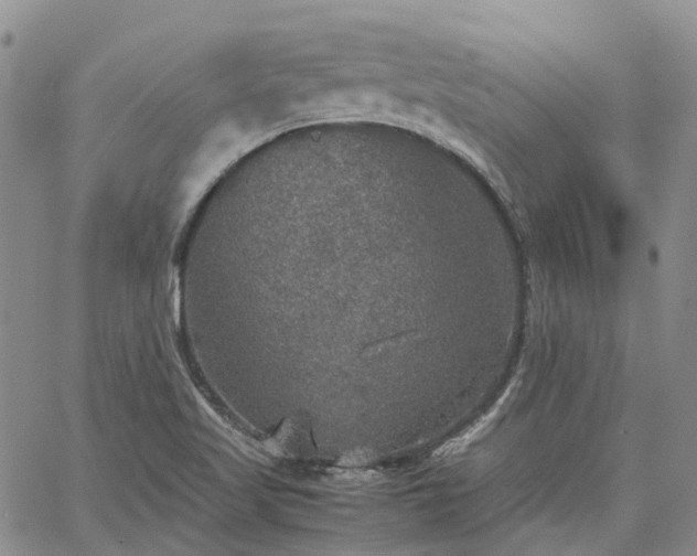 X0000067891509200604201256