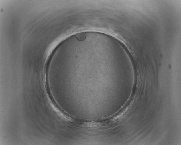 X0000067891511200604201256