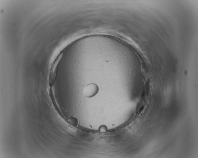 X0000067891512200604201256