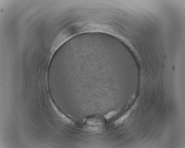 X0000067891513200604201256