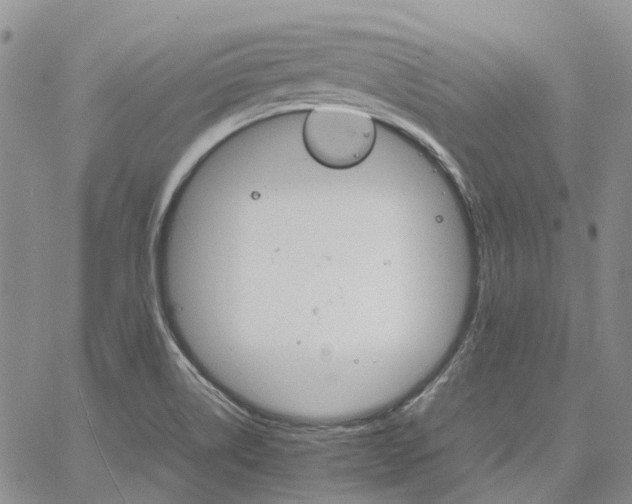 X0000067891514200604201256