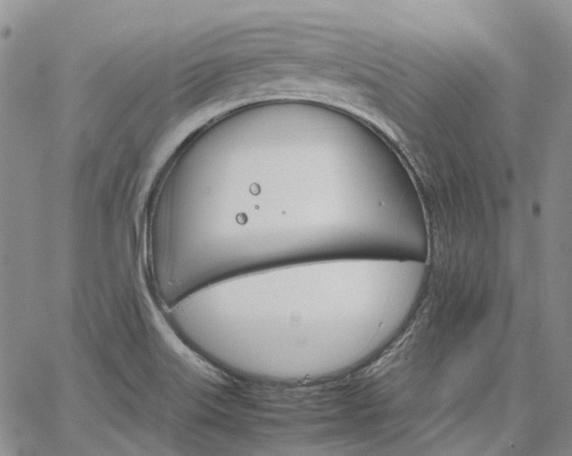 X0000067891515200604201256