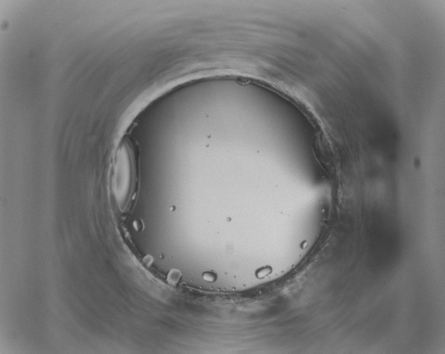 X0000067891516200604201256