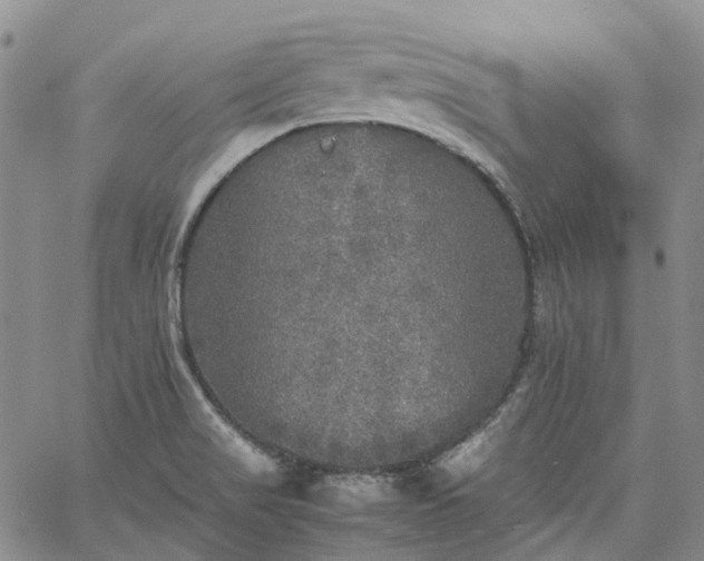 X0000067891517200604201256