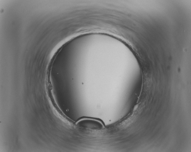 X0000067891518200604201256