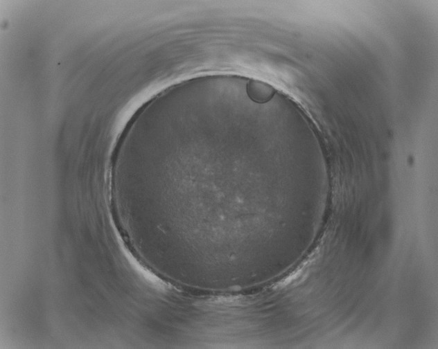 X0000067891519200604201256