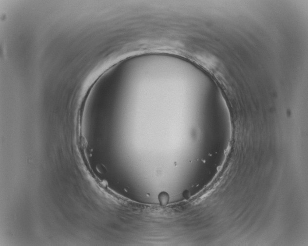 X0000067891520200604201256