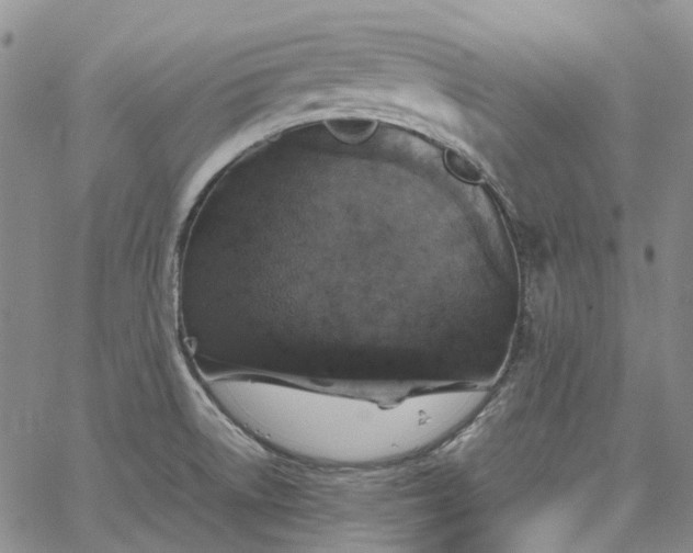 X0000067891522200604201256