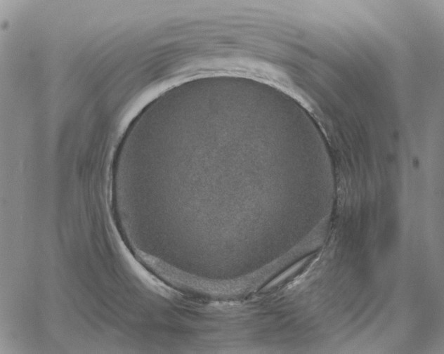 X0000067891523200604201256