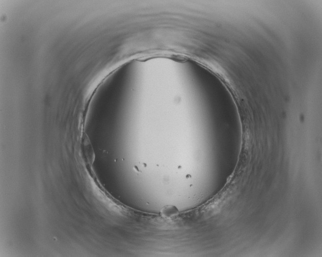 X0000067891524200604201256