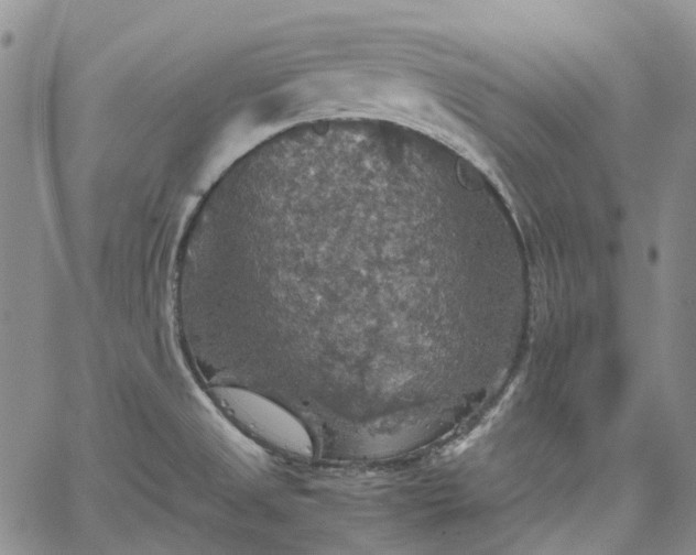 X0000067891525200604201256