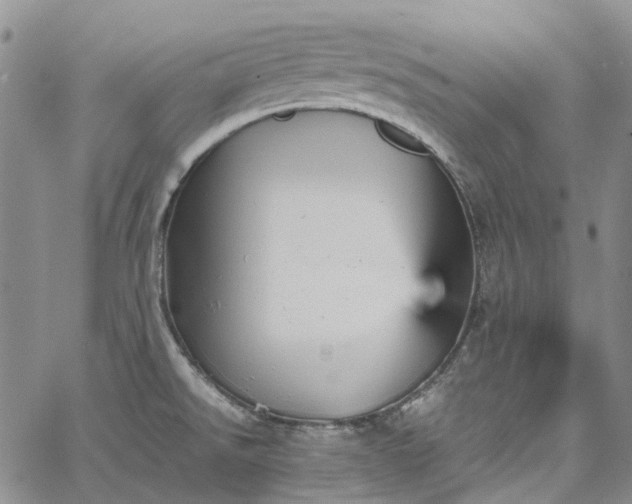 X0000067891526200604201256