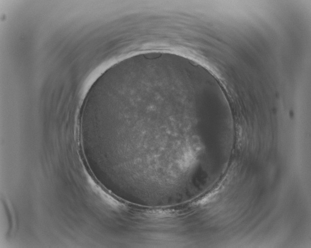 X0000067891527200604201256