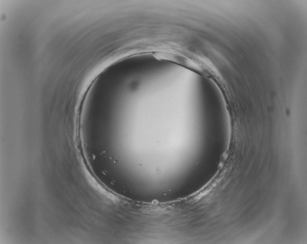 X0000067891528200604201256