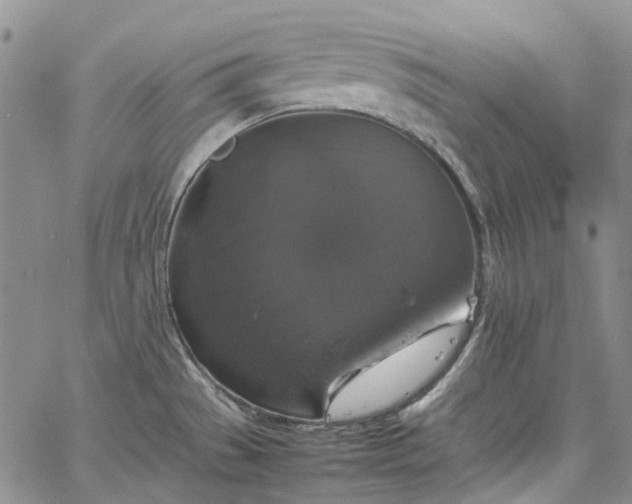 X0000067891529200604201256