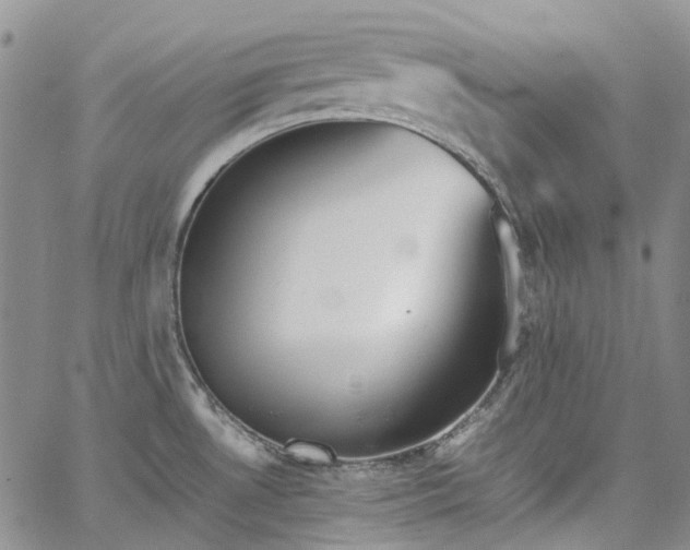 X0000067891530200604201256