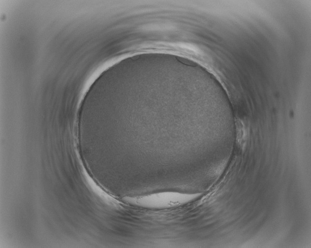 X0000067891531200604201256