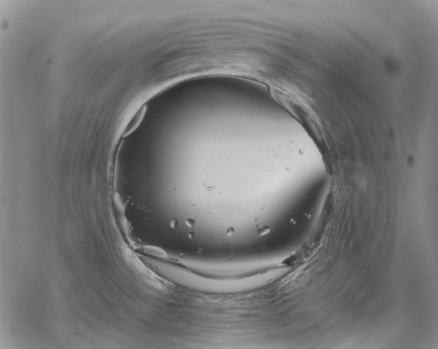 X0000067891532200604201256