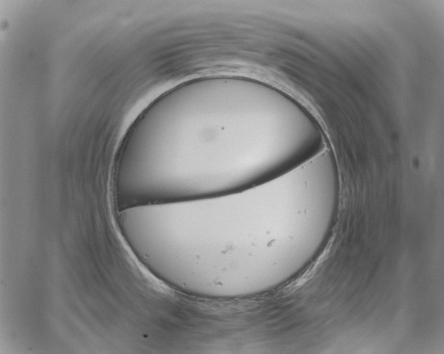 X0000067891533200604201256